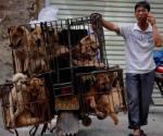 Corea del Sur alista prohibir el consumo de carne de perro