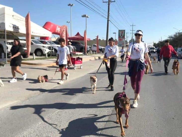 Primer Perrotón Reynosa reúne a familias por una buena causa Primer Perrotón Reynosa reúne a familias por una buena causa