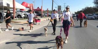 Primer Perrotón Reynosa reúne a familias por una buena causa