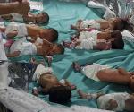 31 bebés prematuros son evacuados de principal hospital de Gaza