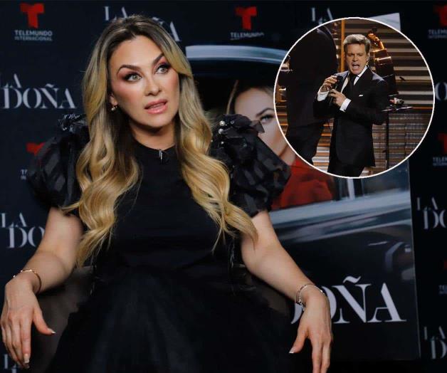 Luis Miguel y Paloma Cuevas se parecen mucho: Aracely Ar&aacute;mbula