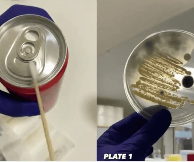 Video muestra qué tan contaminadas están las latas de refresco