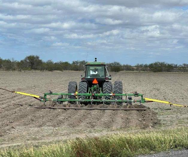 Preparan las tierras para cultivar sorgo