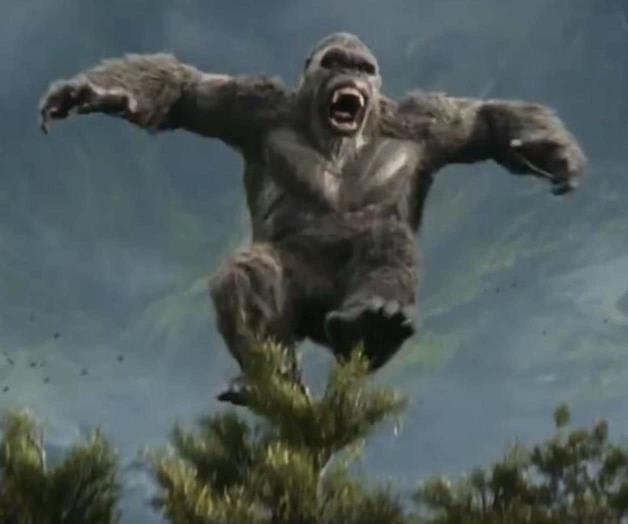 Nuevo Imperio Nuevo Imperio