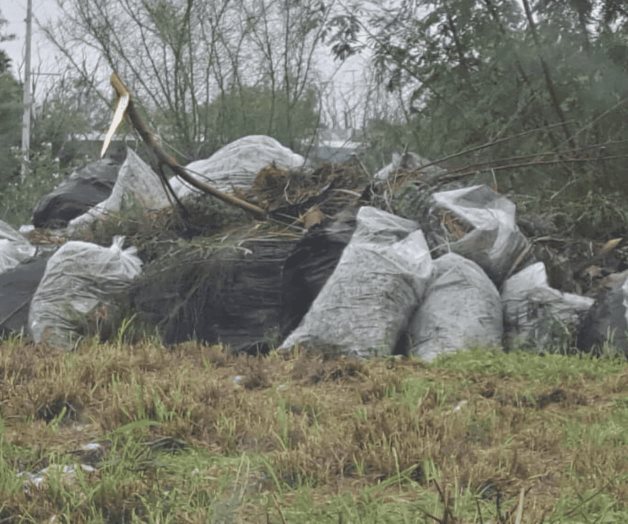 Cortaron y dejaron basura abandonada