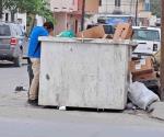 Buscan comida entre basura...