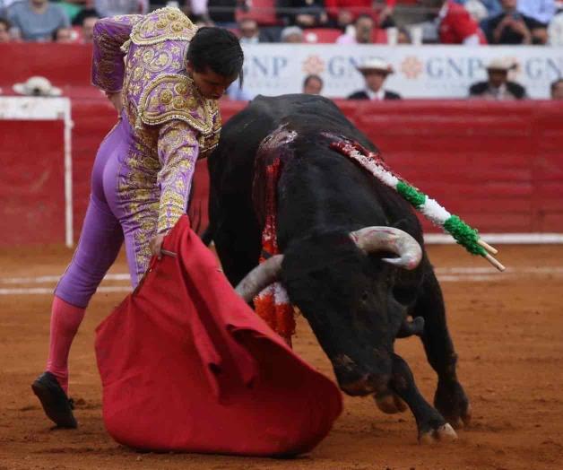 Van toros de regreso