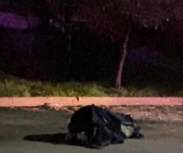 Encuentran cadáver en Colonia Industrias del Vidrio de San Nicolás