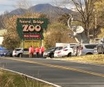 Incautan más de 100 animales de zoológico