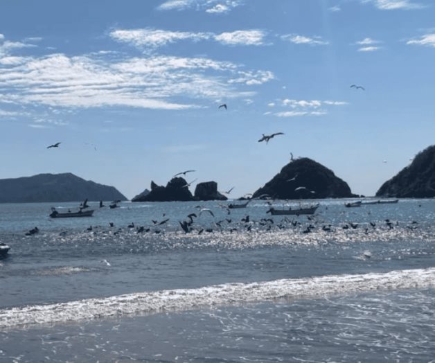 A una semana de ataque de tiburón reabren playa de Melaque