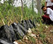 Promueven conciencia ecológica con viveros escolares en Tamaulipas