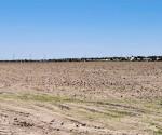 Preparan siembras de ciclo agrícola temprano en Reynosa