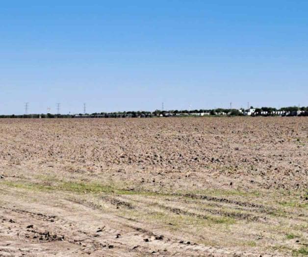 Preparan siembras de ciclo agrícola temprano en Reynosa Preparan siembras de ciclo agrícola temprano en Reynosa