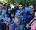 Secuestran a migrantes