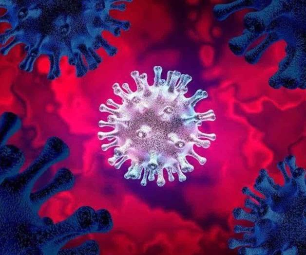 Descubren ‘Pirola’, cepa del Covid 19