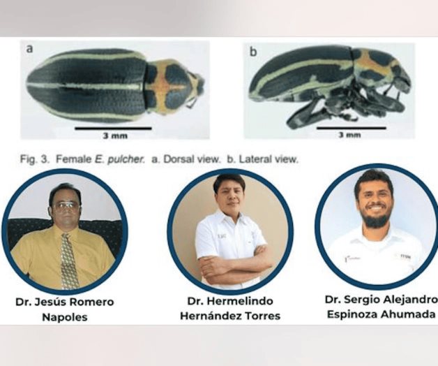 Científicos de la UAT publican investigación sobre la agricultura