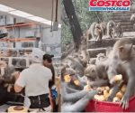 Muestran furor de los clientes del Costco por los pasteles