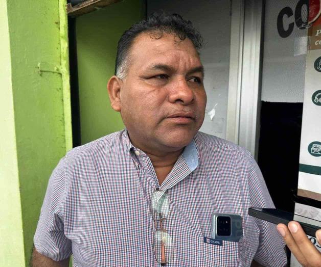 Dejan perder cosecha de chile por bajo precio