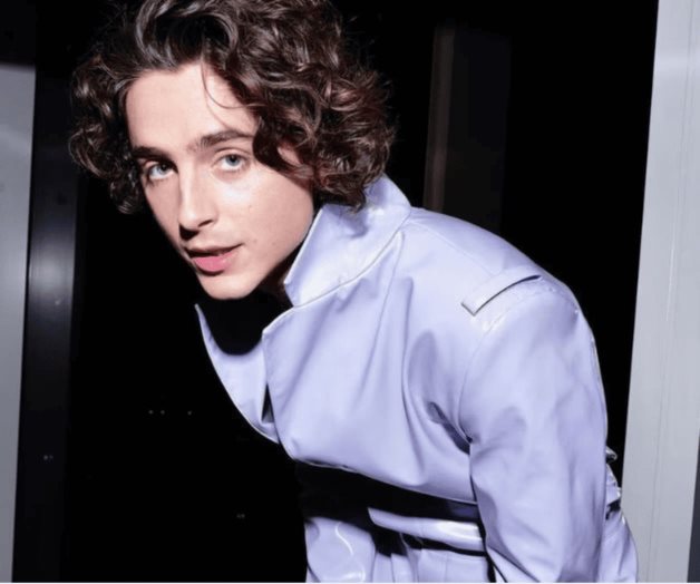 Timothée Chalamet, el hombre más guapo del 2023