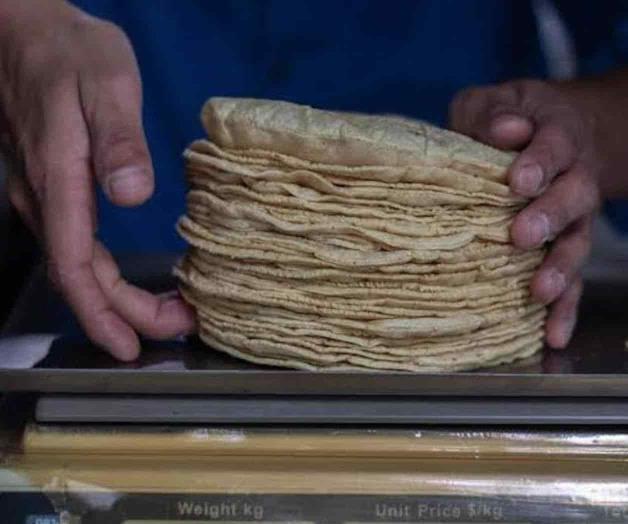 Contemplan incremento de 2 pesos a la tortilla Contemplan incremento de 2 pesos a la tortilla