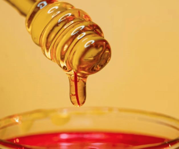 Alerta la UNAM sobre miel ‘pirata’