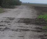 Piden a los agricultores  no da&ntilde;ar los caminos