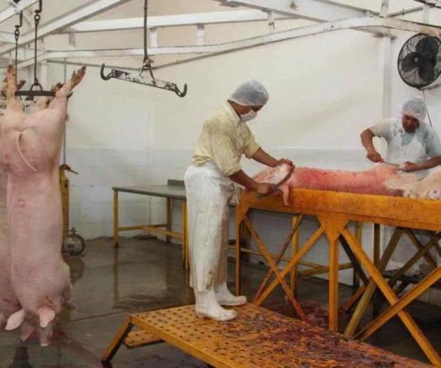 Detectan brucelosis en Rastro Municipal de Tampico