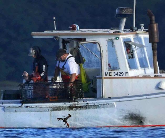 Impugnan las nuevas normas de monitoreo Impugnan las nuevas normas de monitoreo