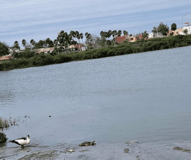 Están calicheras a punto de desbordarse: vecinos