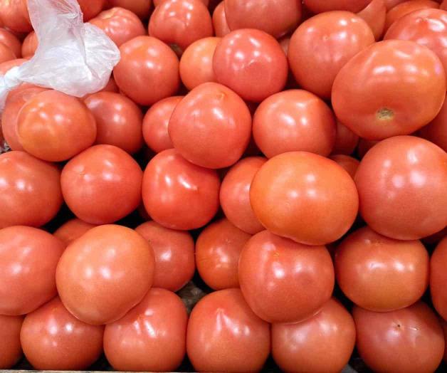 Llega enero con incrementos: Tomate, cebolla y papa, al alza