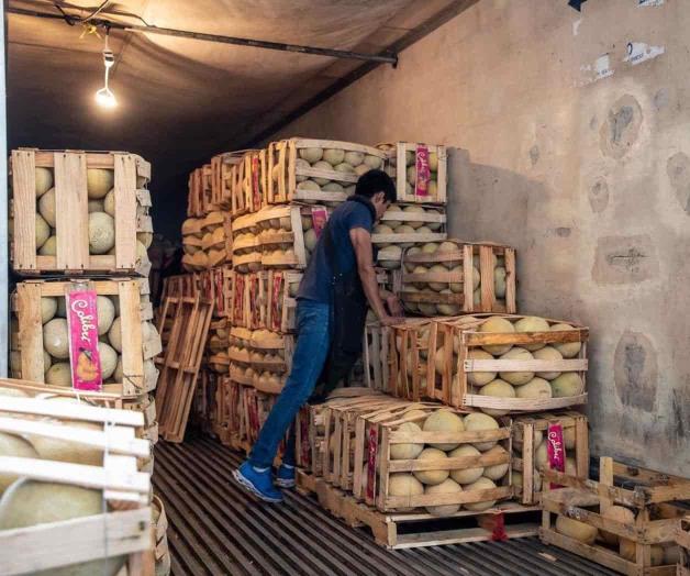 Descartan salmonella en el melón de Sonora