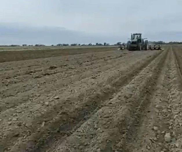 En marcha, trabajos  de siembra de sorgo