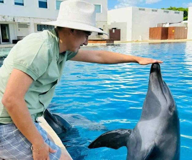 Atienden en Río Bravo a delfines enfermos