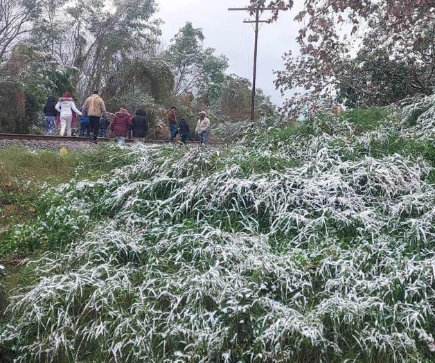 Disfrutan del paisaje congelado en Chipinque