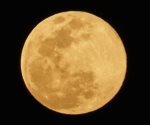 Luna de Lobo 2024: ¿cuándo será la primera Luna llena del año?