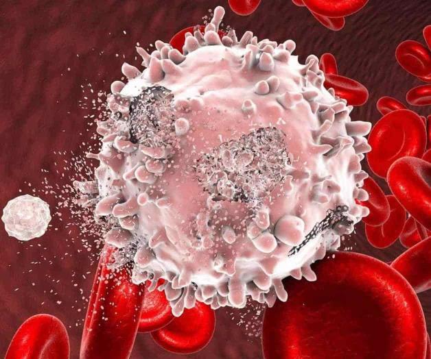 Mata las células de leucemia