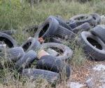 Utilizan lote en abandono en Reynosa como basurero de llantas