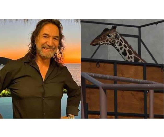 Marco Antonio Solís aplaude rescate de la jirafa Benito