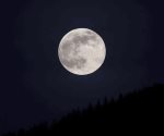La Luna de Lobo 2024 y cuál es su significado