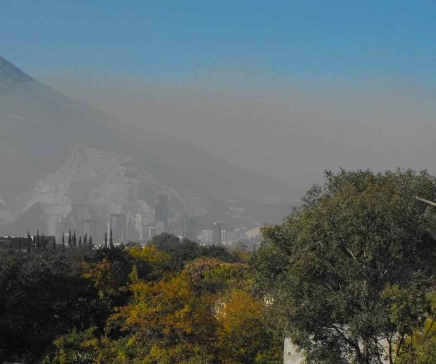 Urbanización pega a vegetación