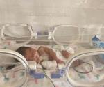 Aumentan fallecimientos de bebés prematuros en Reynosa