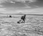 El drama de la migración desde los ojos de un niño