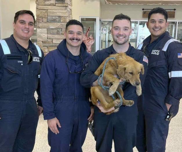 Salvan a perrita atrapada en contenedor en Texas