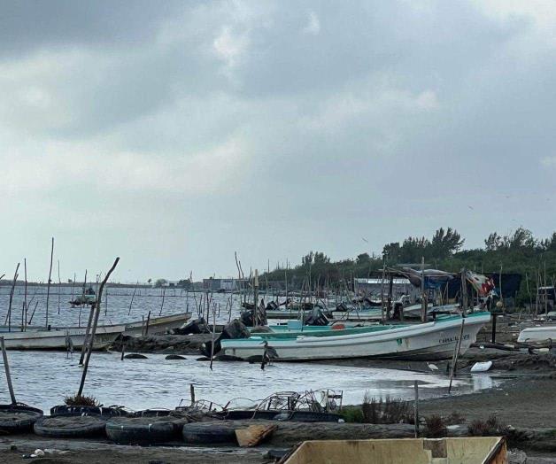 Harán pagos de Bienpesca Harán pagos de Bienpesca