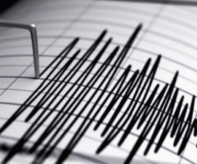 Reportan sismo de 5.1 grados en Puerto Vallarta, Jalisco Reportan sismo de 5.1 grados en Puerto Vallarta, Jalisco