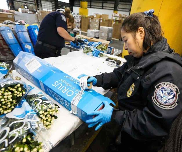 Intercepta CBP plagas en flores importadas