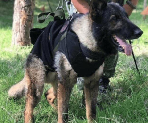 A un año de su muerte, Sedena recuerda a Proteo A un año de su muerte, Sedena recuerda a Proteo