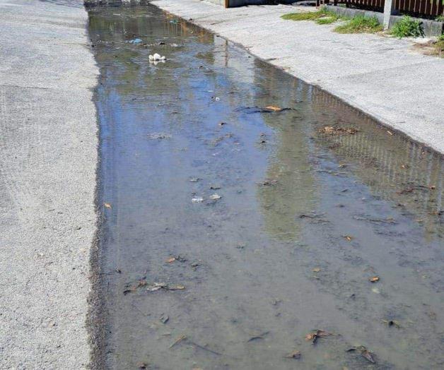 Problema recurrente de aguas negras afecta a vecinos de la colonia Cañada