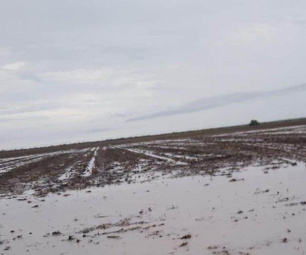 Paralizan labores por precipitaciones Paralizan labores por precipitaciones