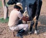 Acusan especulación sobre precios de leche